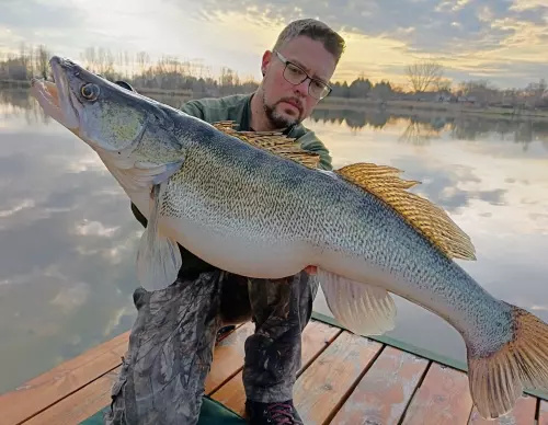 Nagyvátyi víztározó - Galéria kép