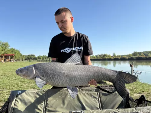 Pazonyi Horgásztanya - Galéria kép