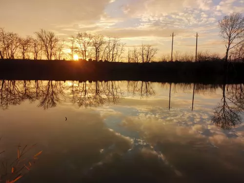Gyálai Holt-Tisza - Galéria kép
