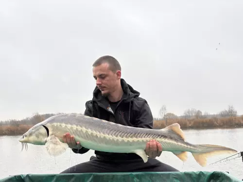 Pazonyi Horgásztanya - Galéria kép