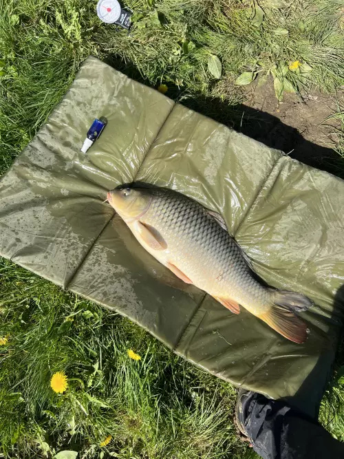 Határréti-víztározó - Galéria kép