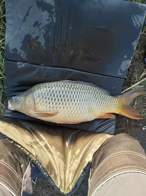 Ordas-tavak - Galéria kép