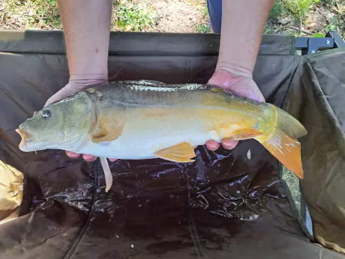 Templom tó - Galéria kép