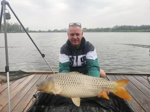 Battyán Carp Lake - Galéria kép