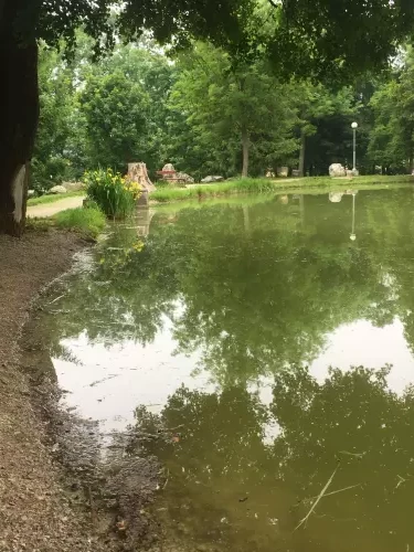 Felsőtárkányi-tó - Galéria kép