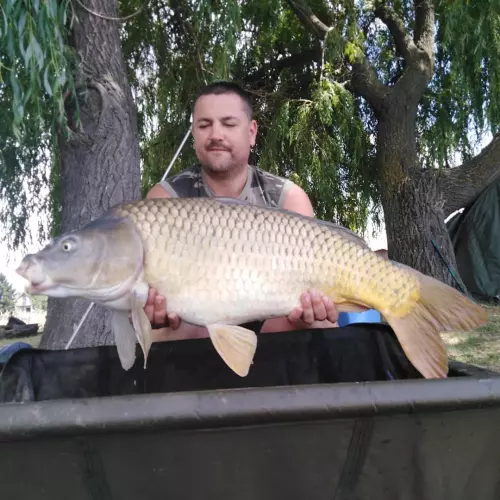 Adácsi Horgásztó - Galéria kép