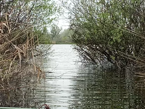 Viktória-tavak - Galéria kép