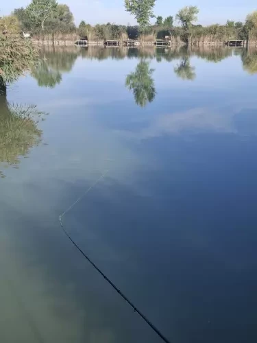 Borsosgyőri-tó - Galéria kép