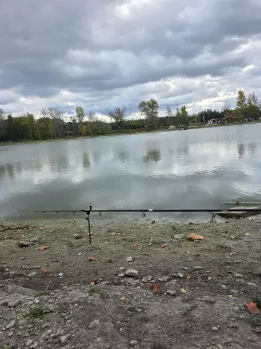 Torma Lake horgásztó - Galéria kép