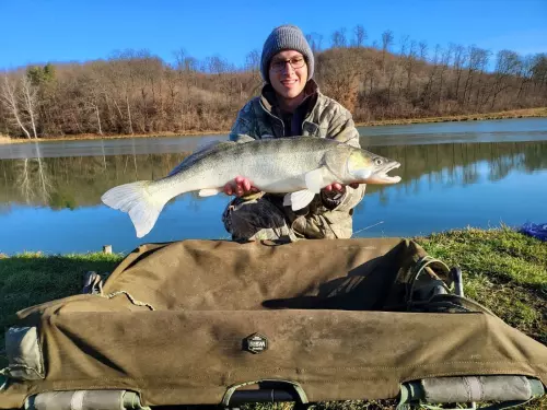 Vezekény-völgyi víztározó - Galéria kép