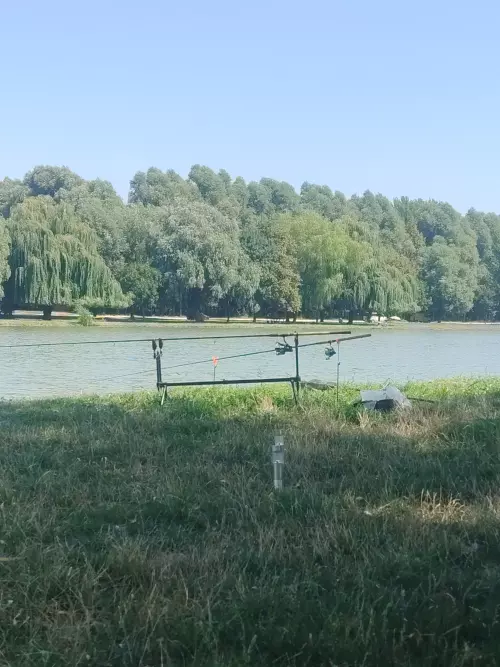Tiszakécskei holtág - Galéria kép