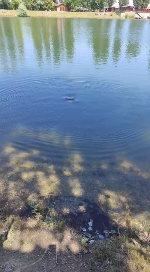 Mélyvölgyi Méri Horgásztavak - Galéria kép