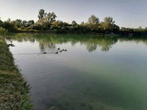 Malév horgásztó - Galéria kép