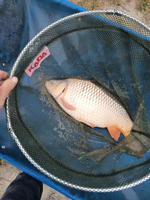 Csepp-tó - Galéria kép