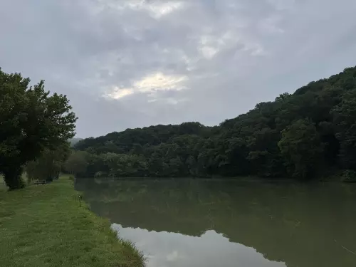 Mecseknádasdi Horgásztó - Galéria kép