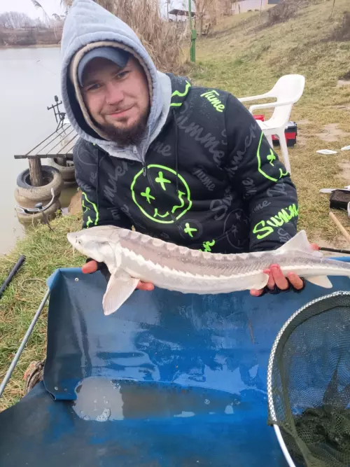 Csepp-tó - Galéria kép