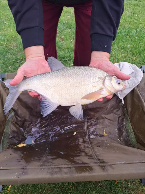 Templom tó - Galéria kép
