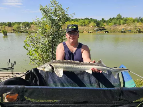 Csepp-tó - Galéria kép