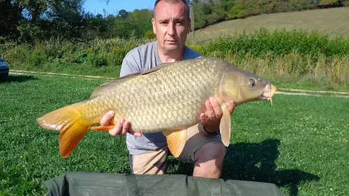 Dália tavak - Galéria kép